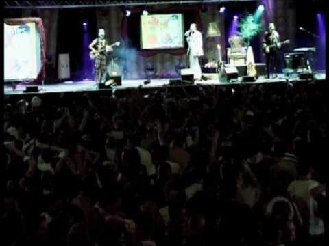 Roos in je blonde haren Ronnie Ruysdael De Sjonnies