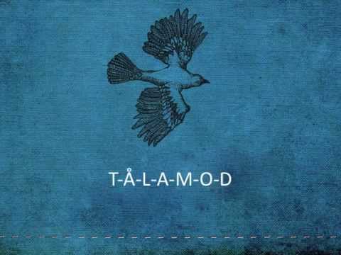 Erik Tilling : T-Å-L-A-M-O-D : Lyrics Video