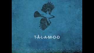 Erik Tilling : T-Å-L-A-M-O-D : Lyrics Video