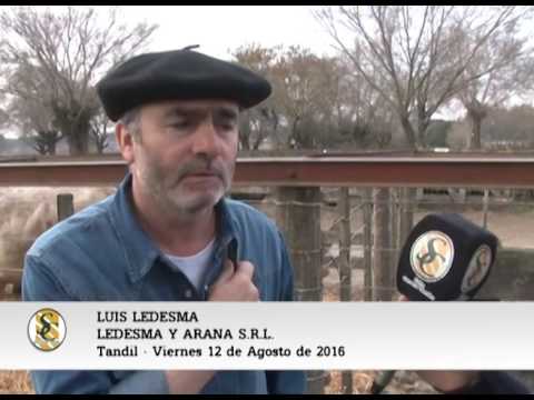 12-08-16 - LUIS LEDESMA  - LEDESMA Y ARANA S.R.L.