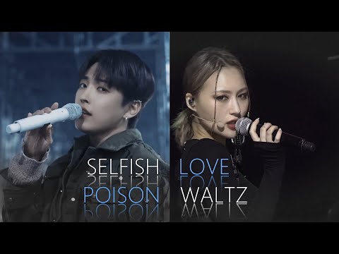 DREAMTEEZ - POISON LOVE SELFISH WALTZ (Dreamcatcher x Ateez Mashup)