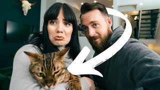 Taking our BENGAL CAT to the Vet... Something is not right