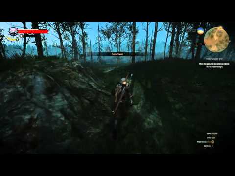 The Witcher 3 Wild Hunt (PC) Cheathrough - Pt. 48