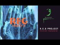 REG Project - 04 Psyche Paradise