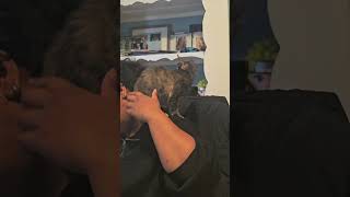 bopa having a flea bath ep3 @bopa2025 #cutekitty