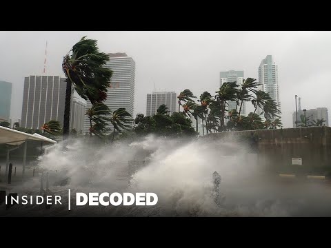 How Hurricanes Form And Why They're Getting Stronger | Decoded