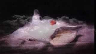 The Damned - Life Goes On - Subtitulos Español