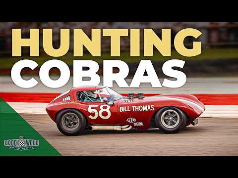 The Cobra Killer takes on the RAC TT Celebration