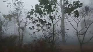 preview picture of video 'Banglore (Yashwantpur) to Talguppa journey by Train...'
