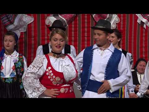 VANESSA LEUCA -  AM DRAGUT CU PALARIE