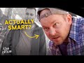 Nate Being One The Funniest Side Characters For 7 Minutes Minutes