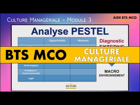 AIDE BTS MCO | Comment faire une analyse PESTEL en Management  | CULTURE MANAGERIALE BTS