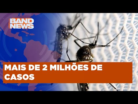Epidemia de Dengue alastra a saúde pública do Brasil com mais de 1.116 mortes pela doença