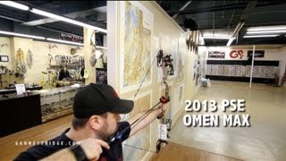 2013 PSE Omen Max