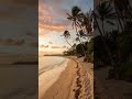 surreal sunset a tranquil beach escape shorts relaxing beach beutifull peace