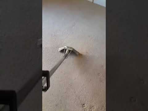 Best Local Carpet Cleaners video.
