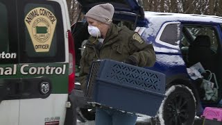 'Absolutely horrific' - Animal shelter workers shocked by abused animals in Scranton