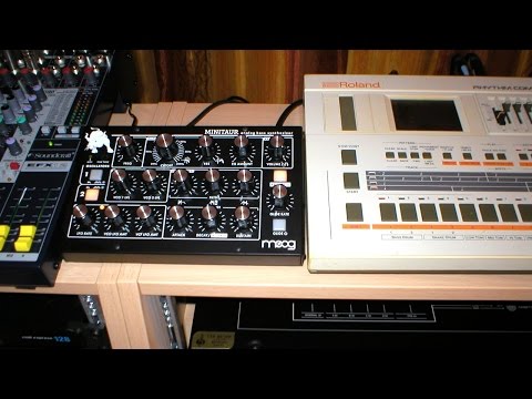 Italo Disco with Moog Minitaur, Alpha Juno-1 and TR-707