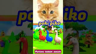 Download lagu bebek lucu warna warni #binatanglucu #kartun mp3 Download lagu bebek lucu warna warni #binatanglucu #kartun mp3