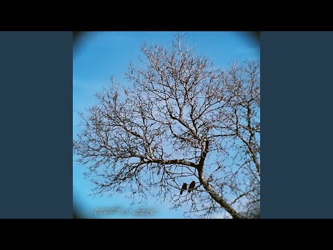 truth or dare (feat. Lucky Boondock$)