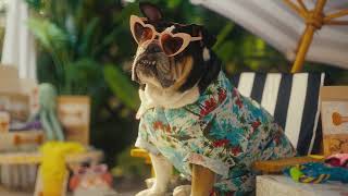 FirstBank Bank Like Penny | English