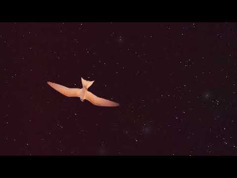 What If We Fall - Joel Ansett