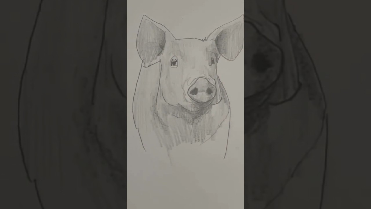 Draw a pig 🐷 Easy drawing lesson for beginners on how to draw a pig. #drawinglesson #howtodraw