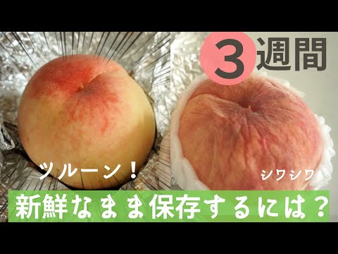 桃の保存方法:こうすれば鮮度が長持ちします 植物