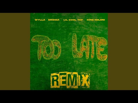 Too Late Remix