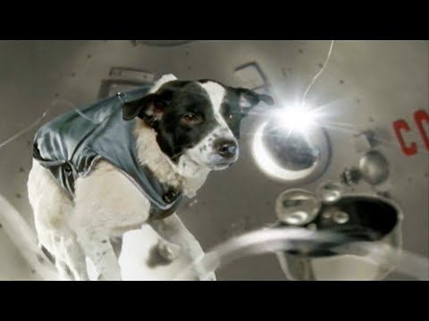 Trentemøller - Moan (Trentemøller Remix Edit) [official music video]