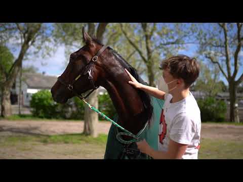 Derbyspot 2021 - die Dreijährigen - Impressionen Rennbahn Berlin Musik Mein Berlin, Ben Zucker