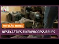 REPO: Nestkastjes Eikenprocessierups