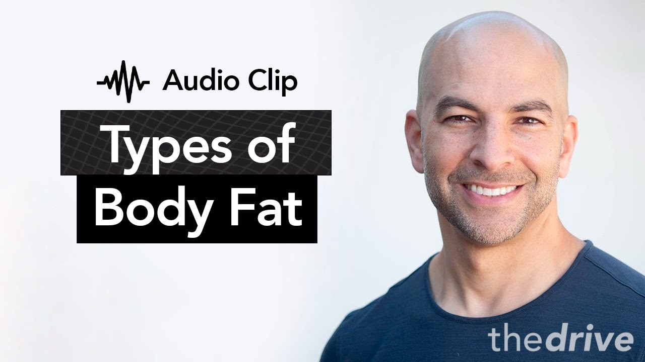 Subcutaneous Fat vs. Visceral Fat - What's the Difference? | The Peter Attia Drive