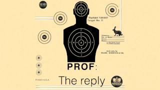 Prof - The Reply