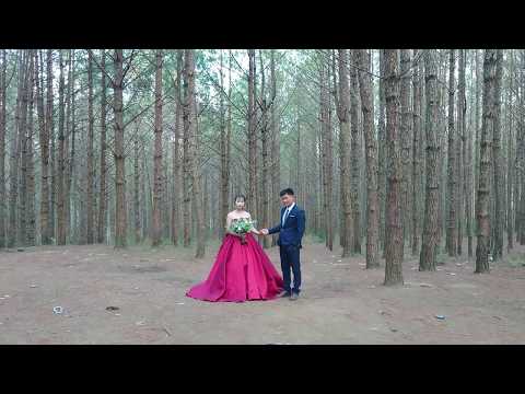 Hậu trường chụp ảnh cưới ở rừng thông Đà Lạt | Cách tạo dáng đẹp khi chụp ảnh cưới
