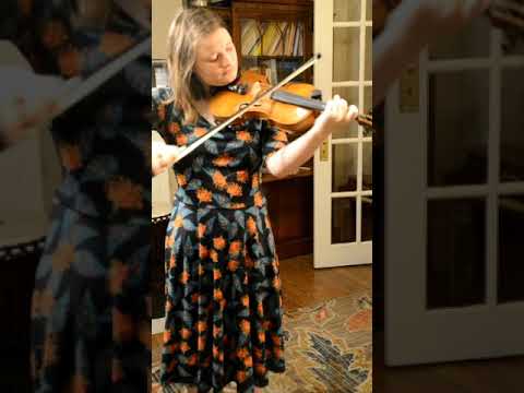 Neah Whaley Johnson county 4-H twinkle  little  texas star