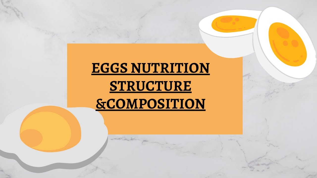 Structure of an egg /nutritive value? composition of an egg nutrition students