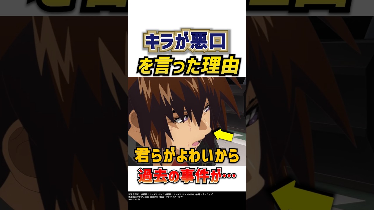キラが「君らがよわいから」と言った理由とは？過去の事件が…機動戦士ガンダムSEED FREEDOM 解説・考察 #ガンダム #seedfreedom