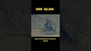 Download lagu saking lamanya bertapa||Sunan kalijaga #wali #walisongo #sunankalijaga #filsafat mp3