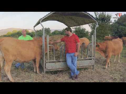 download lagu mp3 mp4 Auroque Investimentos, download mp3 Auroque Investimentos free downloadn, video klip Auroque Investimentos