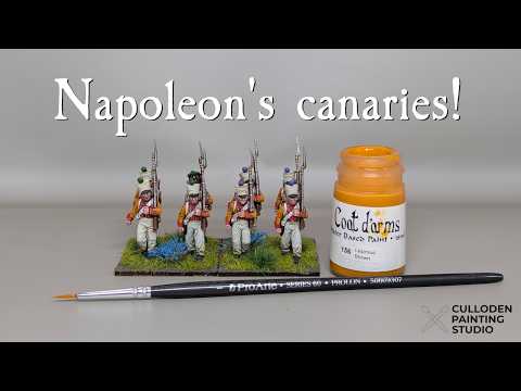 Painted Napoleonic Swiss Neuchatel Battalion miniatures