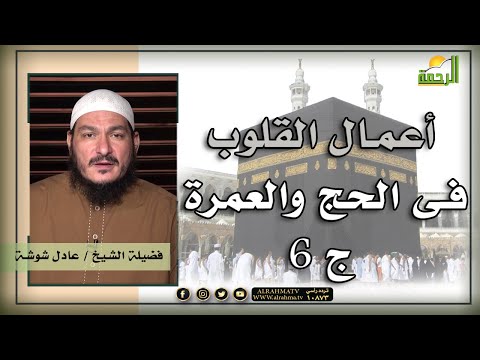 أعمال القلوب فى الحج والعمرة ج 6 قضايا فقهية معاصرة فضيلة الشيخ عادل شوشة