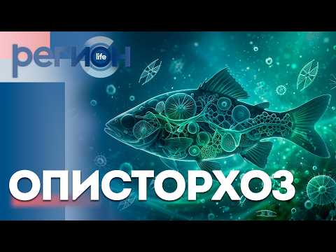 Описторхоз | ОТС LIVE — прямая трансляция