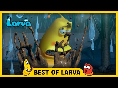 LARVA | BEST OF LARVA | Cartoons | Comics | Cartoons | Comics | LARVA 2017 WEEK 37