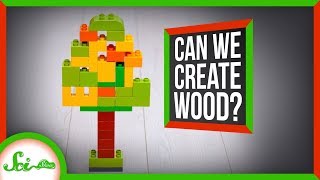 I Can't Believe It's Not Wood