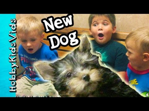HobbyKids Reaction to FIRST DOG! Surprise Pet Behind the Scenes HobbyPuppy HobbyKidsVids