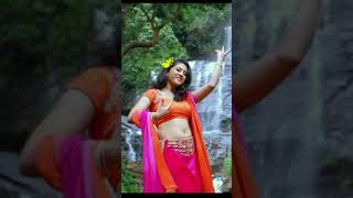 Shriya Sharma Dance in Saree  Hot Navel  Vertical