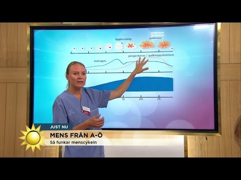 Så funkar menscykeln: ”Då mår många kvinnor som sämst” - Nyhetsmorgon (TV4)