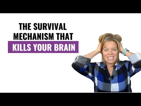 Can Stress Cause Brain Fog