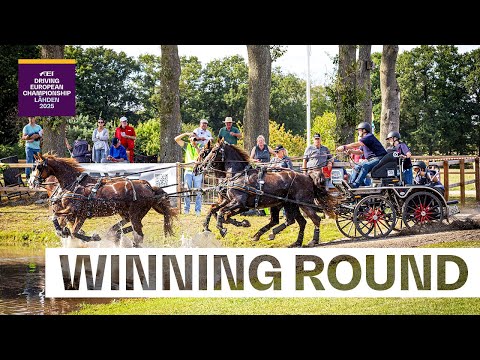 Daniel Schneiders the Marathon Master! 🔥 | FEI Driving European Championship Lähden 2025